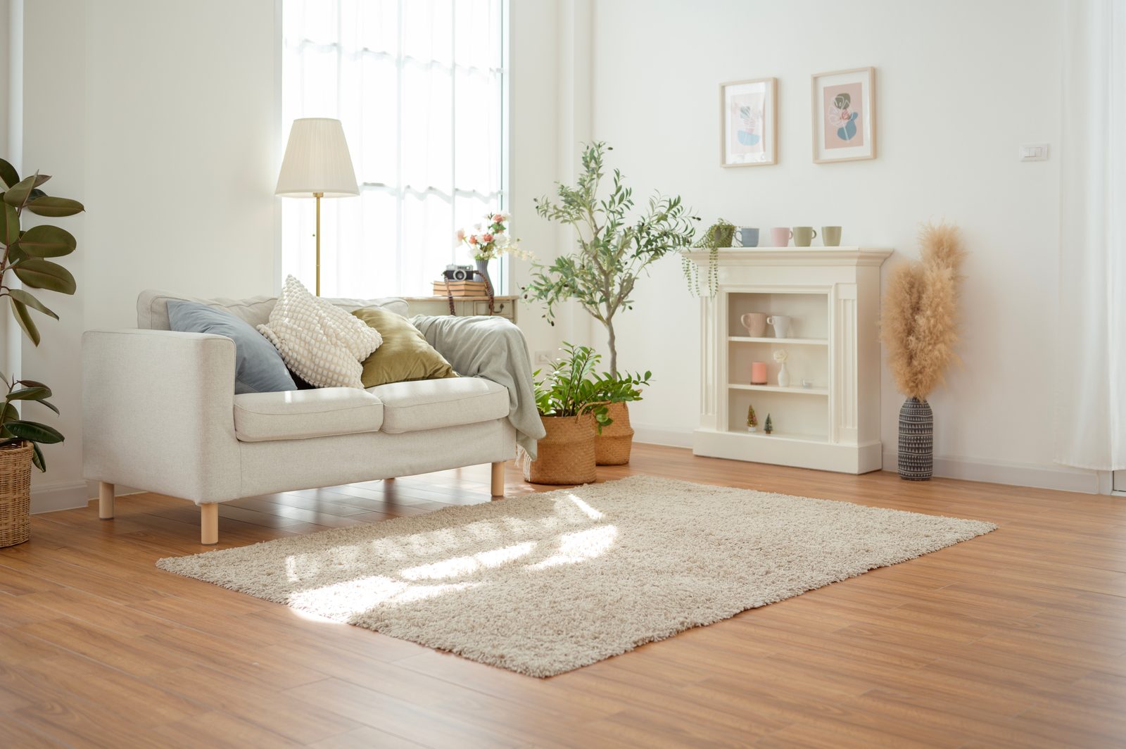 A calm, sunlit living room in a well-kept home